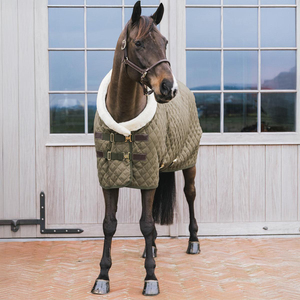 Couvertures d'hiver de luxe pour chevaux de la meilleure qualité, imperméables et respirantes, à bas prix. - Product Image 6