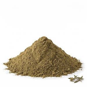 Polvo de Hoja de Bhringraj 100% Natural OEM, Polvo de Eclipta Prostrata Premium para Mascarillas Capilares Herbales, Cuidado del Cuero Cabelludo y Nutrición del Cabello - Product Image 2