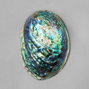 Wholesale Polished Green <b>Abalone</b> <b>Shell</b> Vietnam for Jewelry Making Inlay Craft Supplies and Decorative Art Projects - Product Image 4