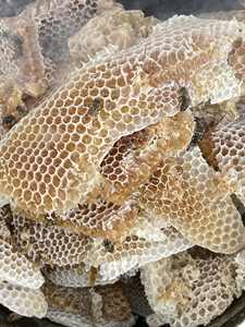 Pastel de Miel de Buen Sabor 100% Natural en Botella - Product Image 3