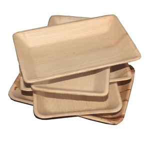 Platos de fiesta desechables de hoja de areca natural ecológica Biodegradable Bioworld 25 - Product Image 2