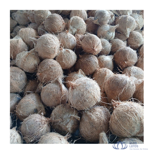 มะพร้าวสดเกรดพรีเมียมสีน้ำตาลอ่อนแบบกึ่งปอกเปลือก ยอดขายดีที่สุด สำหรับอุตสาหกรรมอาหาร การปรุงอาหาร และการสกัด บลูโลตัส - Product Image 1