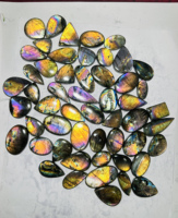 Lot de cabochons en spectrolite de forme mélangée polie lisse de pierres précieuses de Labradorite attrayante pour la fabrication de bijoux