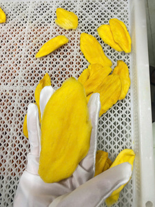 Premium Soft <b>Dried</b> <b>Mango</b> for Food Processing and Snack Industry with Large Volume Supply - Product Image 5