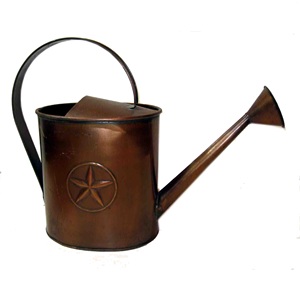 Arrosoir en métal antique finition rustique, haute qualité, pour décoration de jardin extérieur, taille personnalisable, vente chaude - Product Image 1