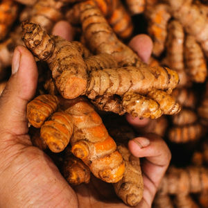 Meilleure offre sur du curcuma frais naturel de qualité supérieure 100% naturel du Vietnam - Product Image 5