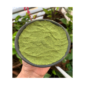 Poudre de feuilles de Moringa séchées de qualité supérieure, non-OGM, de qualité alimentaire, procédé AD, ingrédient pur naturel en vrac pour la fabrication alimentaire Ocean - Product Image 4