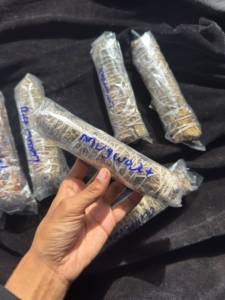 Bâtons d'encens de sauge de 4 pouces pour la purification de la maison, la parfumerie, la méditation et les rituels d'encens. Sauge blanche cultivée. - Product Image 2