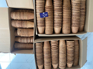 Maceta de Fibra de Coco de Calidad de Exportación, Biodegradable, para Plántulas, BLUE LOTUS VIETNAM 2026 - Product Image 5