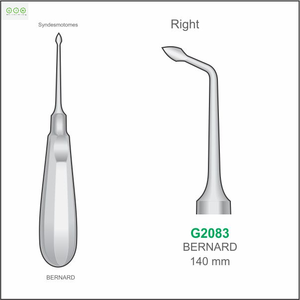 MELPEX BEAUTY INSTRUMENTS Élévateur dentaire Cryer gauche pour extraction chirurgicale et luxation, en acier inoxydable 420, autoclavable - Product Image 6