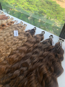 Extensions de Cheveux Naturels Vietnamiens Bruts 2026, 100% Haute Qualité, Lisses, Double Trame, Vente Chaude - Product Image 4