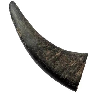 Corne de buffle naturelle écologique, pointe polie, design rustique moderne, haute qualité, noir - Product Image 3
