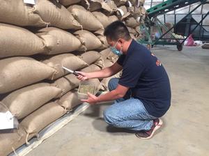 Granos de Café Verde Sin Tostar, Naturales, Procesados para Preparar y Tostar, Grado AA, Empaquetado en Bolsa de Yute WA +84 966 659 976 - Product Image 5