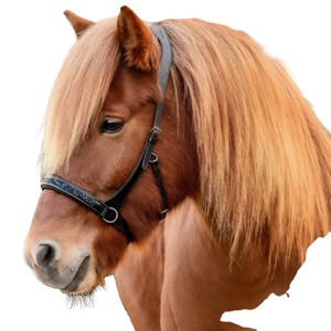 Arnés de Carreras de Caballos inglés, brida, sillín de cuero de estilo occidental hecho a mano en la India - Product Image 2