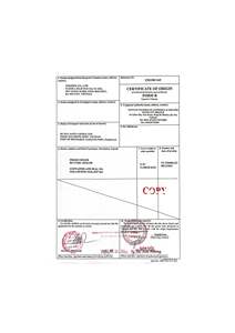 Gingembre frais/Jahe/ Shoga | Meilleures recettes et bienfaits pour la santé au Vietnam (W...A: + 84366808683) - Product Image 6