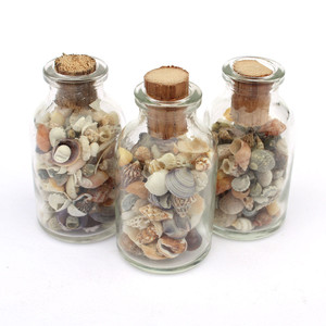 ขวดเปลือกหอยตกแต่ง ของที่ระลึกชายหาด ของสะสมเปลือกหอยขนาดเล็กในขวดแก้ว - Product Image 2