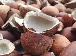 Copra de Coco Seca 100% Pura de Alta Calidad de Vietnam para la Producción de Aceite de Coco, Suministro a Granel - Product Image 5