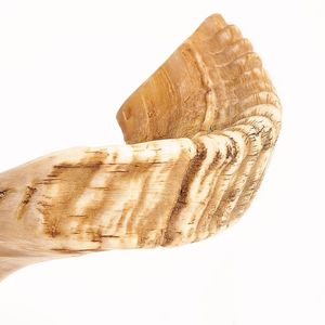 Shofar décoratif spirituel en corne de bélier, instrument sonore traditionnel pour la prière et les festivals, fait main, qualité supérieure, design élégant - Product Image 2