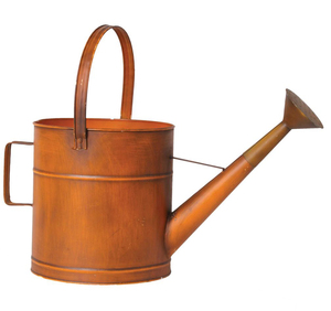 Large Capacity Antique Design Hand Painted Most Popular Water <b>Cane</b> Minimalist Home and <b>Garden</b> Decorative Metal Water Can - Product Image 5