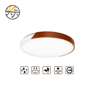 Luz de techo esmerilada de alta calidad, blanca, AC100 240V, LED, IP54, 10-25 m² - Product Image 1