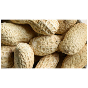 ถั่วลิสงแดงเปลือกแดงออร์แกนิกอบแห้ง ราคาดีที่สุด มีสินค้าจำนวนมากพร้อมบรรจุภัณฑ์ตามสั่ง - Product Image 6