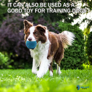 Pelotas de Tenis Ecológicas con Logotipo Personalizado OEM - Pelotas de Entrenamiento Duraderas para Deportes, Fabricante Mayorista - Product Image 5