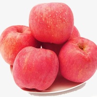 Pommes rouges Fuji 100% naturelles, biologiques, de qualité alimentaire, fraîches, exportées en vrac