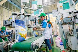 ARROZ LARGO DE VIETNAM VIET NAM VILACONIC DE ALTA CALIDAD 100% ORGÁNICO ST25 AROMÁTICO CONTACTO SANDRA WA +84 962 368 726 - Product Image 4