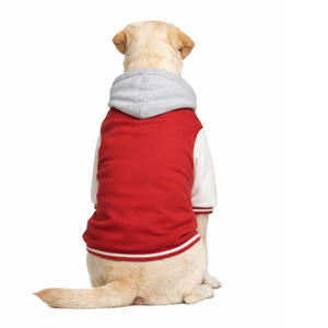 Ropa para Mascotas de Estilo Clásico con Marca Personalizada, Chaquetas Varsity y Abrigos, Proveedor y Fabricante en Línea, Abrigo con Botones - Product Image 2