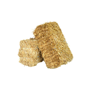 Paille et herbe à prix d'usine, offertes en grandes quantités aux acheteurs et distributeurs agricoles - Product Image 1