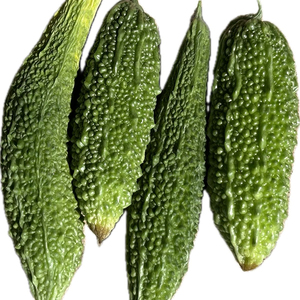 Semillas de Melón Amargo Avanzadas para Cultivo a Gran Escala con Fuerte Resistencia a Enfermedades y Alta Tasa de Germinación - Product Image 2