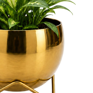Maceta Dorada con Soporte Metálico, Porta Macetas Redondo, Elegante Exhibidor Decorativo para Plantas de Interior, para Hogar, Oficina, Sala de Estar - Product Image 2