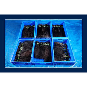 Extensiones de Cabello Humano Virgen Indio de 10-34 Pulgadas, Marca de Cabello Humano a Bajo Precio - Product Image 2