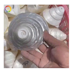 Adorno artístico de concha de caracol roja natural de 20 cm, concha de caracol roja pulida de gran tamaño para decoración del hogar - Product Image 2