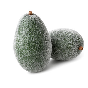 Avocat entier congelé de qualité supérieure, fabriqué au Vietnam, conforme aux normes internationales, prix d'usine, emballé en sac de 5 kg - Product Image 1
