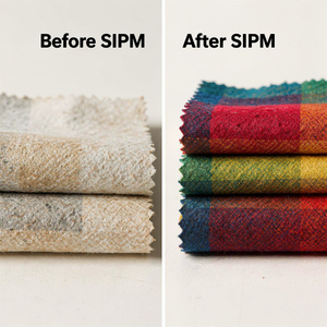 Aditivo Funcional de Alto Rendimiento para Recubrimientos Plásticos de Construcción |   Material de Protección Duradero SIPM - Product Image 2
