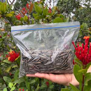 Bolsas con Cierre Hermético Aptas para Microondas, Ecológicas, Ligeras e Impermeables para Empacar Alimentos y Organizar Productos de Forma Segura - Product Image 1