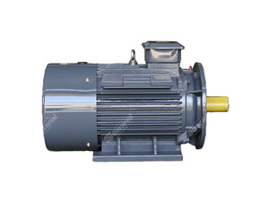 Motor Eléctrico Asíncrono Trifásico 380V 0.75kw 1.1kw 2.2kw 5kw 7.5KW 11kw 15kw 1440-3000rpm 50/60Hz Montaje en Pedestal Totalmente Cerrado - Product Image 3