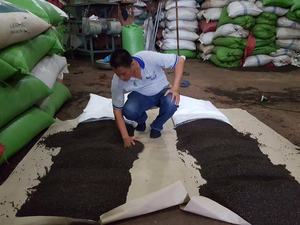 Wholesales Pinhead <b>Light</b> <b>Berries</b> Black Pepper From Vietnam Spices Warehouse WA +84 944 500 504 - Product Image 3