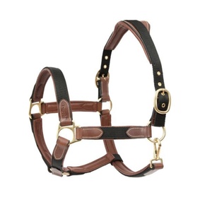 Cabestros para Caballos de Cuero Tejido de Alta Calidad con Herrajes Metálicos Ajustables - Product Image 1