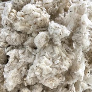 Inkerin de alta calidad, marca Nithya, cantidad mínima 23 toneladas +/- 10. Contacte a la Sra. Kate +84387097963 - Product Image 5