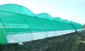 Redes de plástico monofilamento moldeadas de fabricación india FORTUNE AGRO NET Modelo NA - Product Image 3