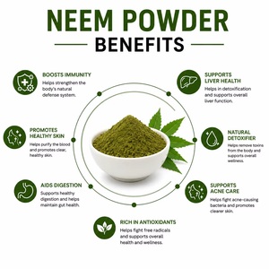 Poudre de feuilles de Neem finement broyée 100g, poudre de Neem naturelle à la consistance lisse, adaptée aux masques capillaires, aux masques faciaux et aux cosmétiques - Product Image 2
