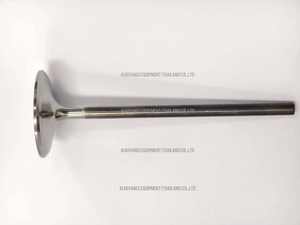 Soupape de moteur en titane personnalisable pour admission/échappement, tige trempée de 5,5 mm, vente directe usine - Product Image 2