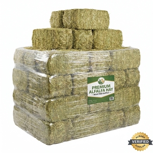Foin d'alfalfa de haute qualité, alimentation animale, fourrage premium, foin à haute teneur nutritive, chevaux, bovins, laiterie, vente en gros, approvisionnement en vrac, exportation - Product Image 4