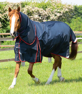 Mantas cálidas y resistentes para caballos que brindan comodidad al aire libre, proporcionan una cobertura suave para días relajados en el establo, mantas diarias fiables para caballos. - Product Image 4
