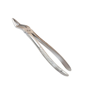 Pinzas para Extracción de Raíces Dentales # Pinzas de Extracción Dental de Acero Inoxidable de 51 mm para Procedimientos Quirúrgicos de Raíz Superior - Product Image 1