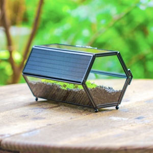 Wholesale Modern Black Metal <b>Frame</b> Mini Glass <b>Plants</b> Terrarium Tabletop Vase with Breathing Holes - Product Image 4