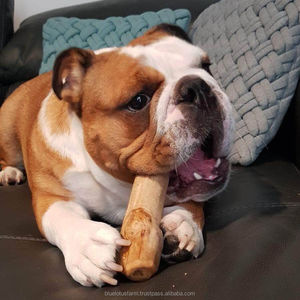 Produit spécial à mâcher en bois pour chien de café pour votre animal de compagnie Disponible du Vietnam Jouet à mâcher durable et écologique Mme Cherish - Product Image 4