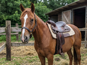 Almohadilla de fieltro de lana para montar a caballo, ligera, disponible en 32”x 32”, grosor de 32 mm, ideal para el rendimiento ecuestre. - Product Image 5